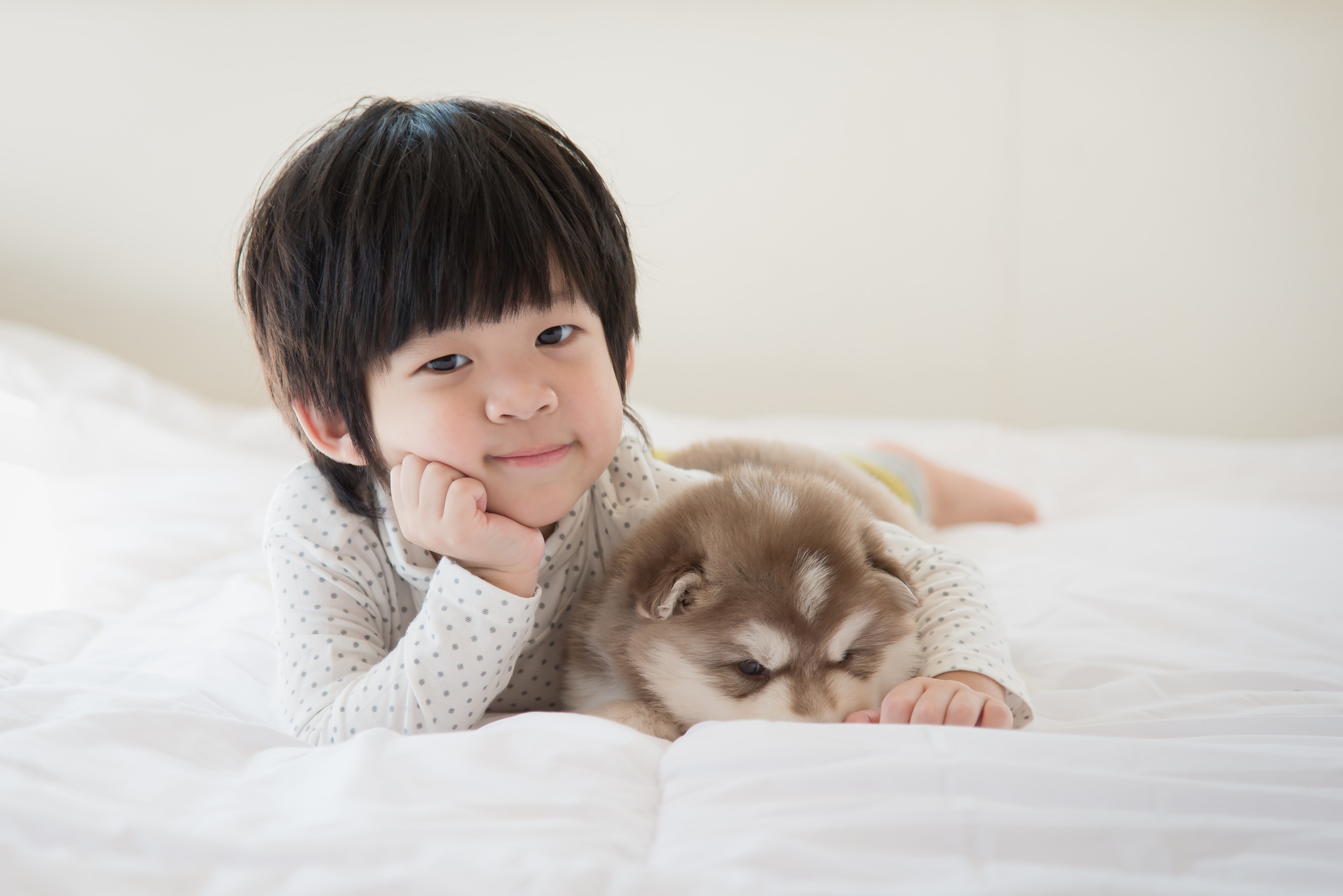 Jeune garçon couché avec son chiot alaskan husky