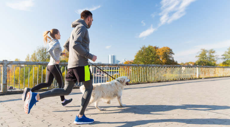 Faire du sport avec son chien