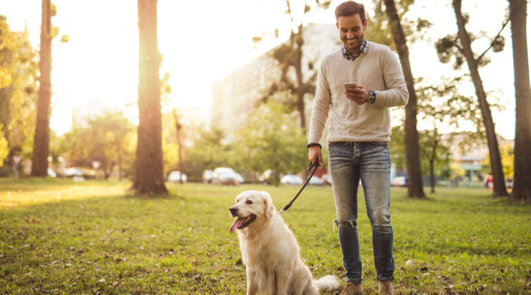 Les Parcs à Chien de Lyon et sa proche banlieue