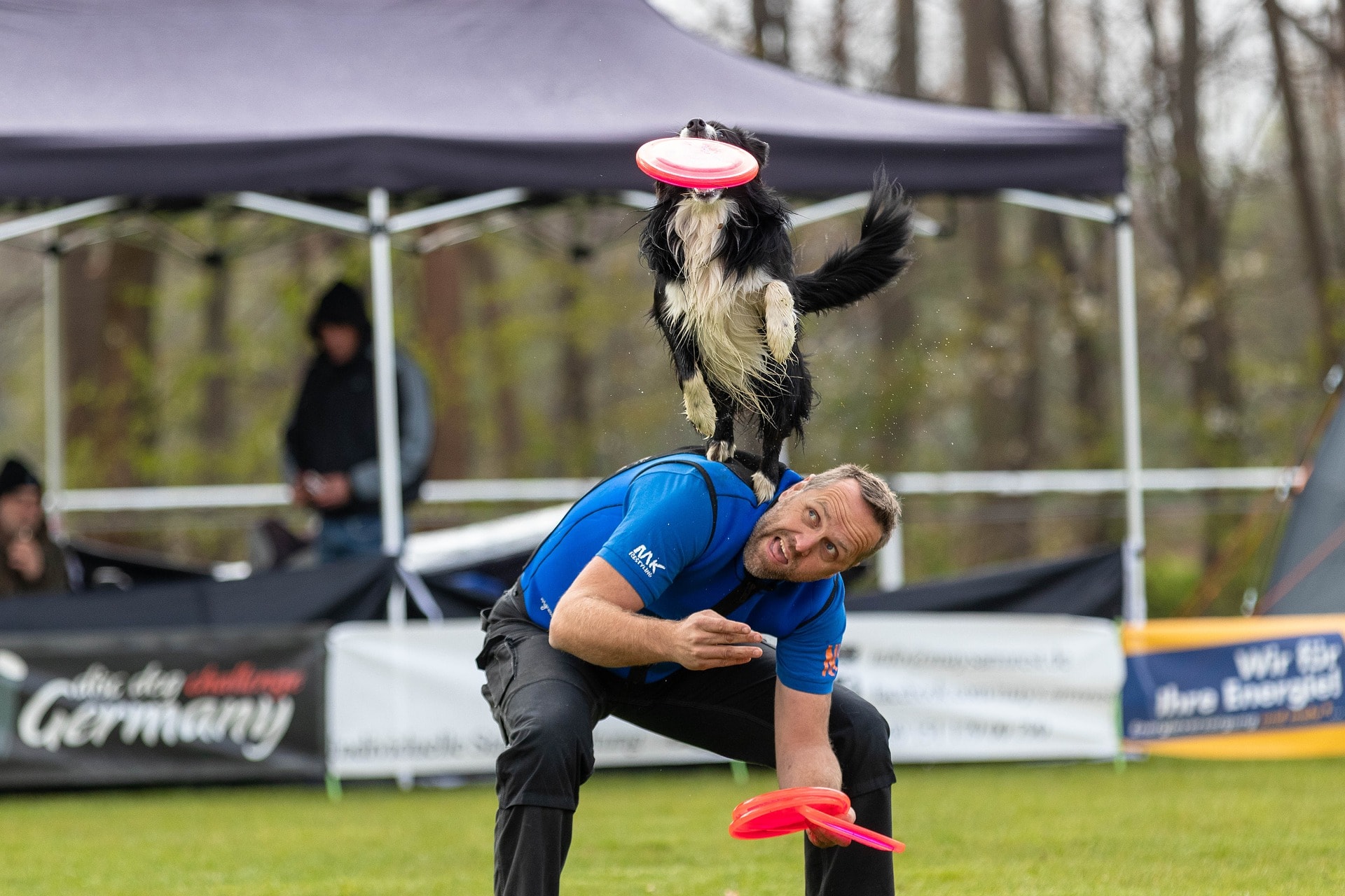 un homme participe à une compétition de frisbee avec son chien
