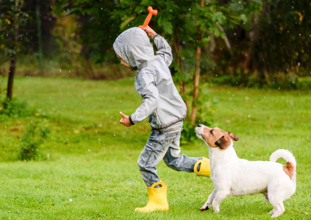 un chien et un garçon jouent dans l'herbe d'un jardin